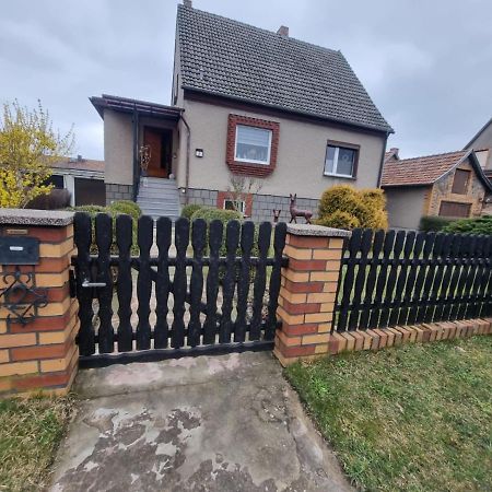 Ferienhaus Pusteblume 뤼벤 외부 사진