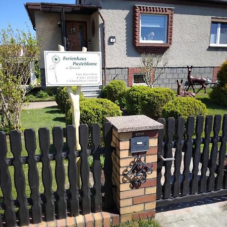 Ferienhaus Pusteblume 뤼벤 외부 사진